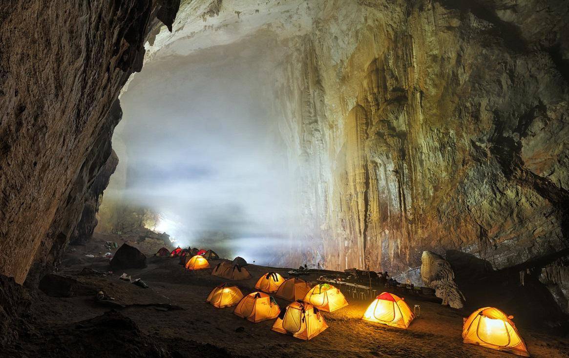 世界上最大的黑珊瑚森林